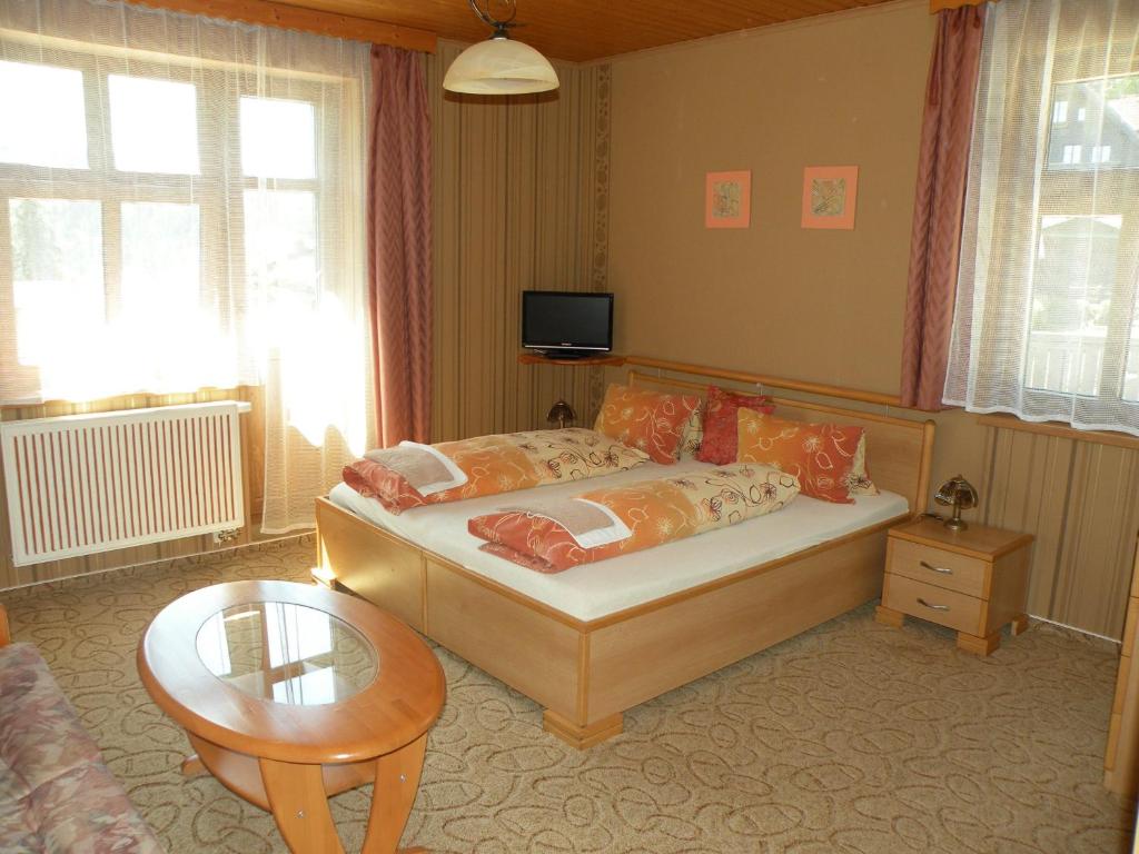 Двухместный (Двухместный номер с 1 кроватью) отеля Lesní dům, Янске-Лазне