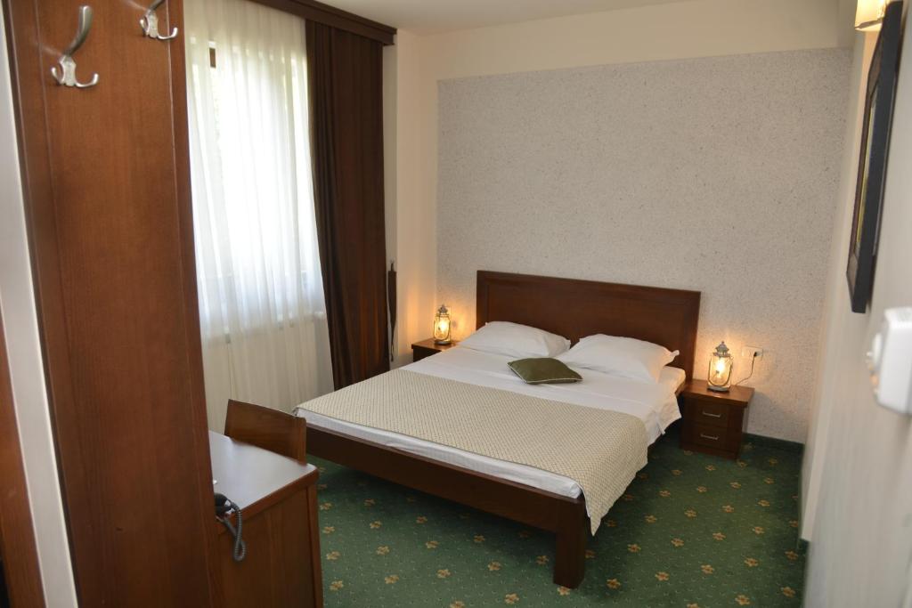 Двухместный (Двухместный номер Делюкс с 1 кроватью), Hotel Trebjesa