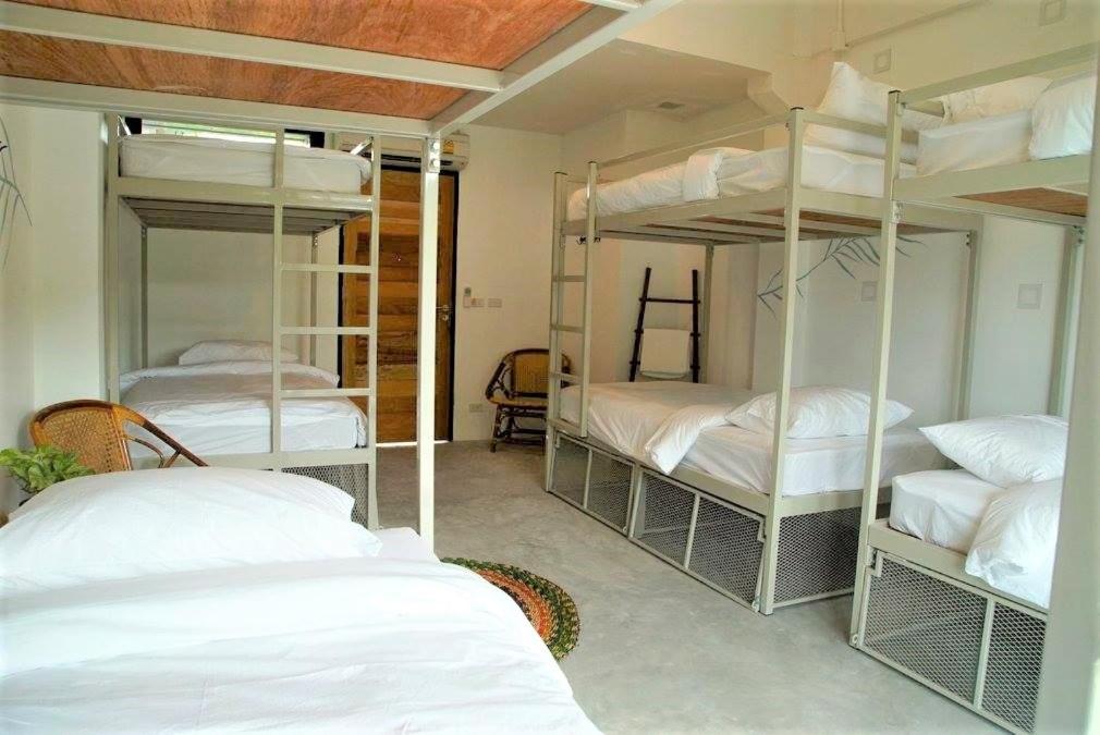 Номер (Кровать в общем 8-местном номере для мужчин и женщин), The Dearly Koh Tao Hostel