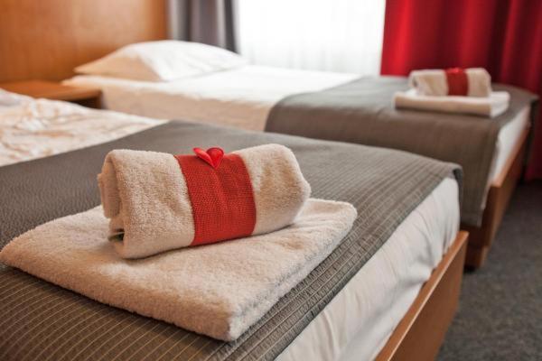 Двухместный (Стандартный двухместный номер с 2 отдельными кроватями) отеля Hotel Alexander, Краков