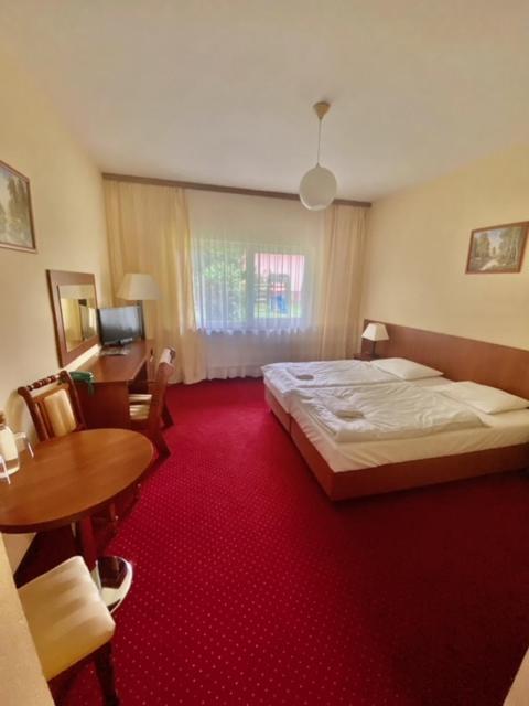 Двухместный (Двухместный номер эконом-класса с 1 кроватью) отеля Hotel Mazury, Гижицко