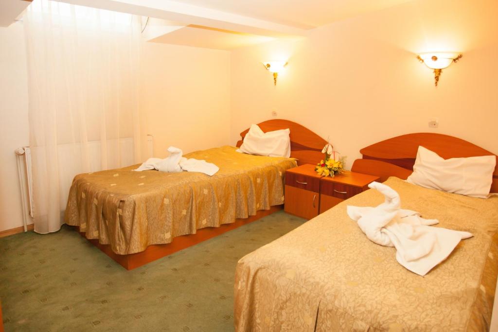 Двухместный (Двухместный номер с 2 отдельными кроватями) гостевого дома Casa Vanatoreasca, Бухарест