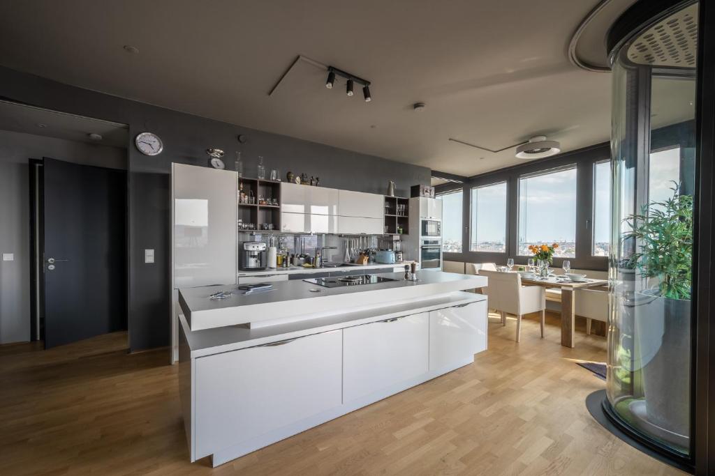 Апартаменты (Rooftop Apartment (Black View)), Skyflats Vienna