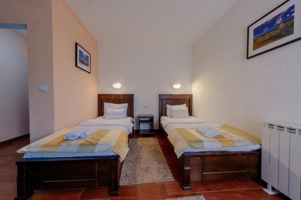 Двухместный (Двухместный номер Делюкс с 2 отдельными кроватями) отеля Hotel Zlatni bor, Жабляк