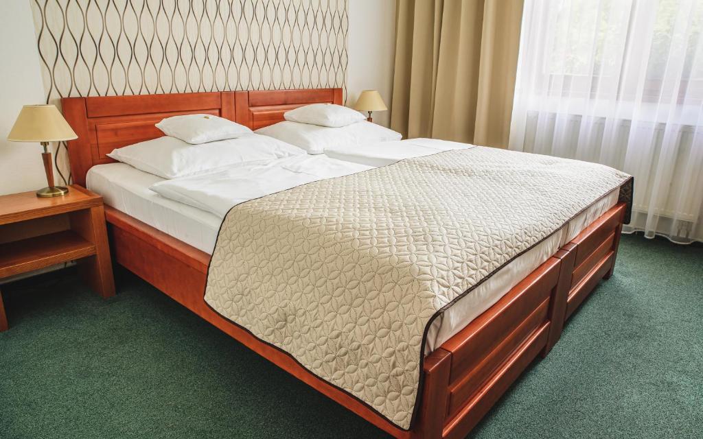 Двухместный (Стандартный двухместный номер с 1 кроватью или 2 отдельными кроватями) отеля Horal, Рожнов-под-Радгоштем
