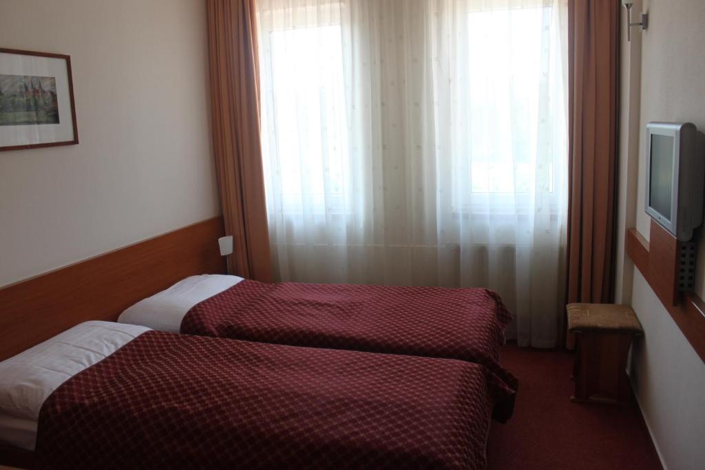 Двухместный (Двухместный номер с 1 кроватью или 2 отдельными кроватями) отеля Hotel Dominika, Братислава