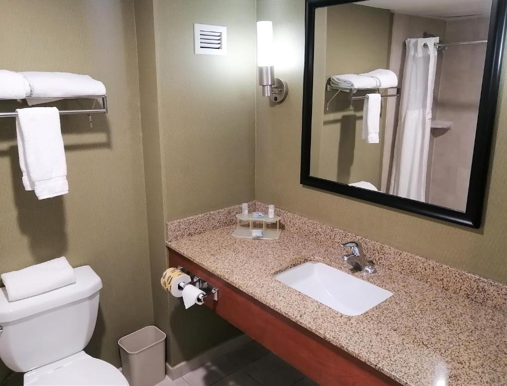 Двухместный (Стандартный двухместный номер с 1 кроватью) отеля Holiday Inn Express & Suites Toluca Zona Aeropuerto, Толука-де-Лердо