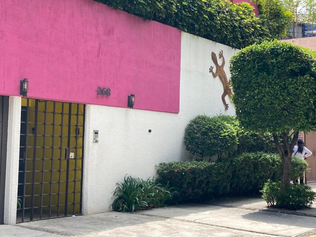 Hostal Cuija Coyoacan