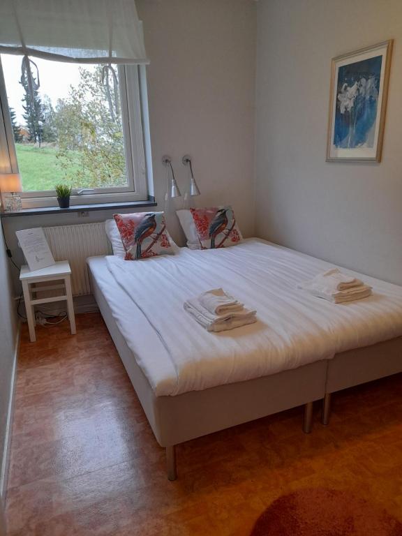 Двухместный (Небольшой двухместный номер с 1 кроватью и собственной ванной комнатой) отеля Kristinebergs Bed & Breakfast Mora, Мура