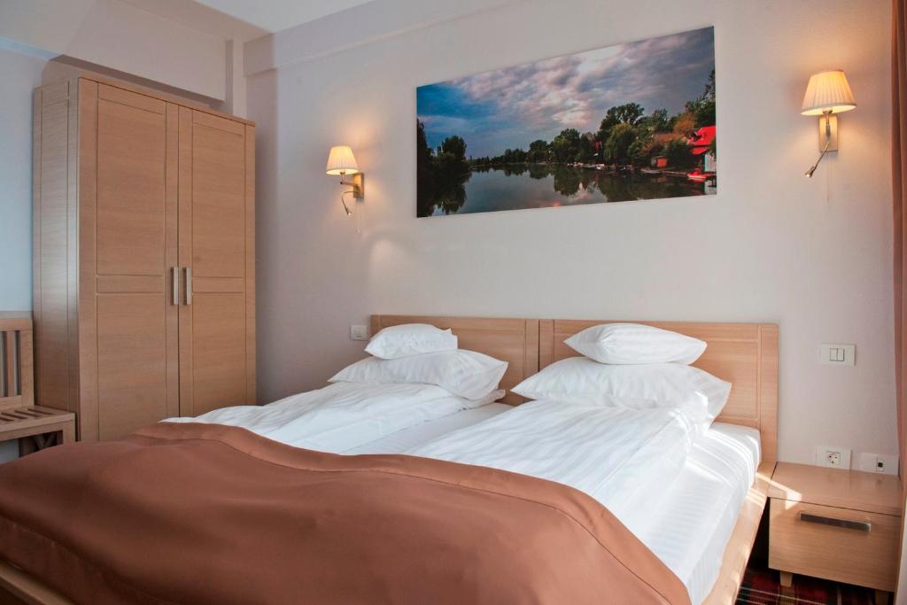 Двухместный (Стандартный двухместный номер с 1 кроватью) отеля Hotel Leon & Spa, Арад