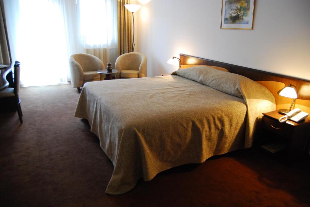 Двухместный (Улучшенный двухместный номер с 1 кроватью или 2 отдельными кроватями) отеля Hotel Maria, Констанца