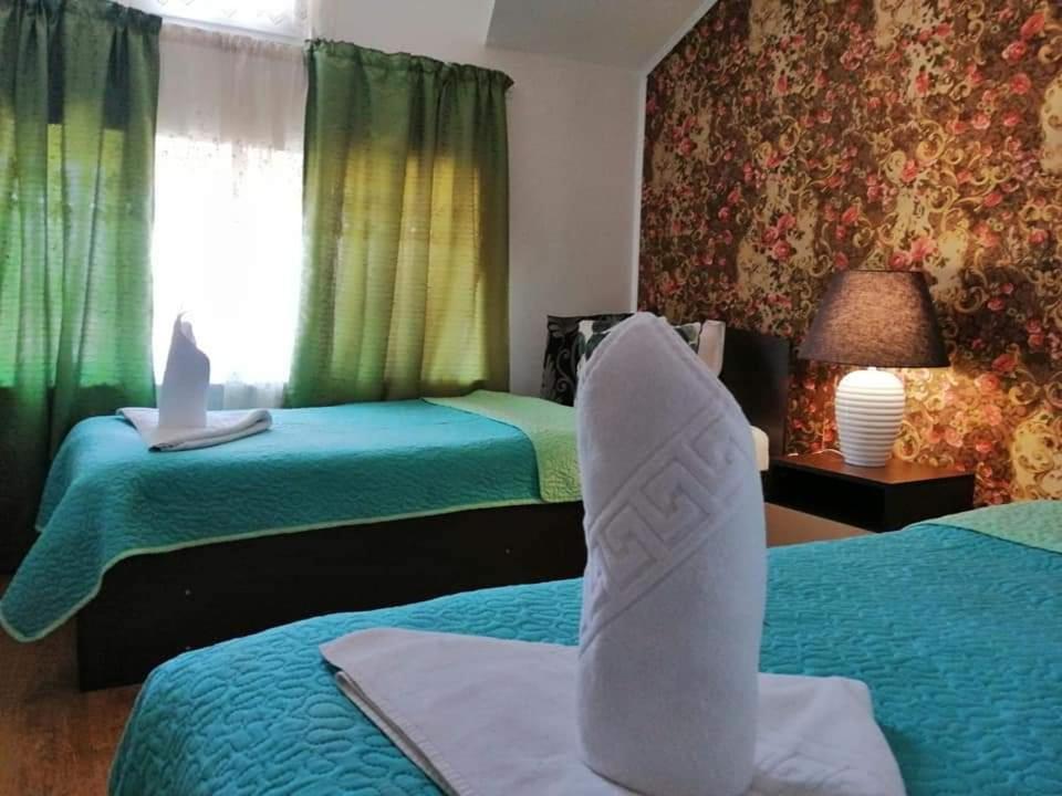 Двухместный (Двухместный номер с 2 отдельными кроватями) курортного отеля Casa Regala EAR, Крайова
