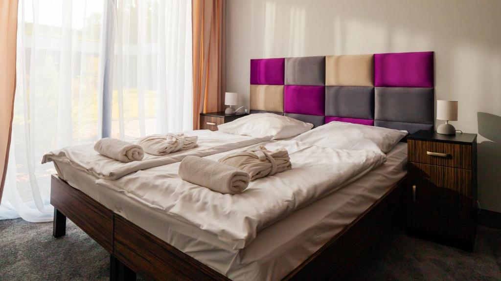 Двухместный (Двухместный номер «Премиум» с 1 кроватью или 2 отдельными кроватями) курортного отеля Termy Warmińskie, Лидзбарк Варминьский