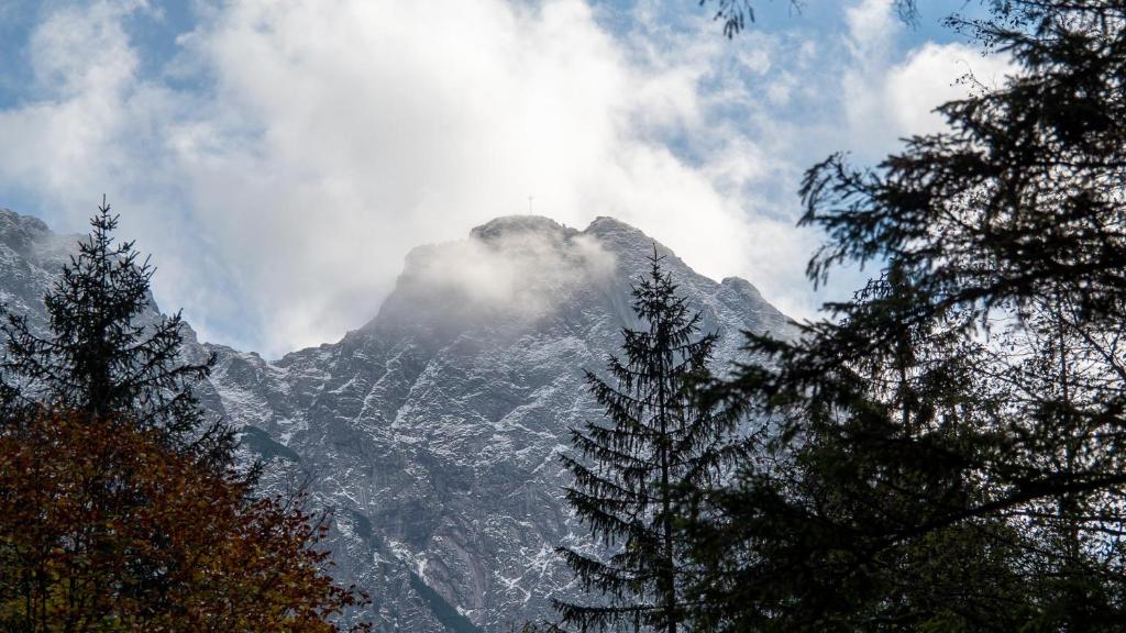 Номер (Коттедж с 6 спальнями), Skalny Dom Zakopane