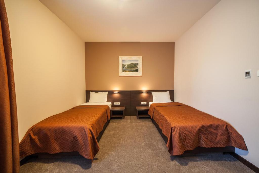 Двухместный (Двухместный номер с 2 отдельными кроватями) отеля Hotel Terminus, Подгорица