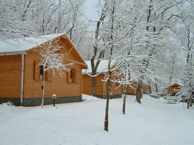 Номер (Шале), Zöldvár villa