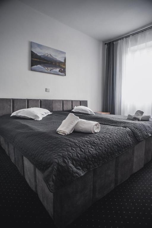 Двухместный (Бюджетный двухместный номер с 1 кроватью) отеля Hotel Petroşani, Петрошани