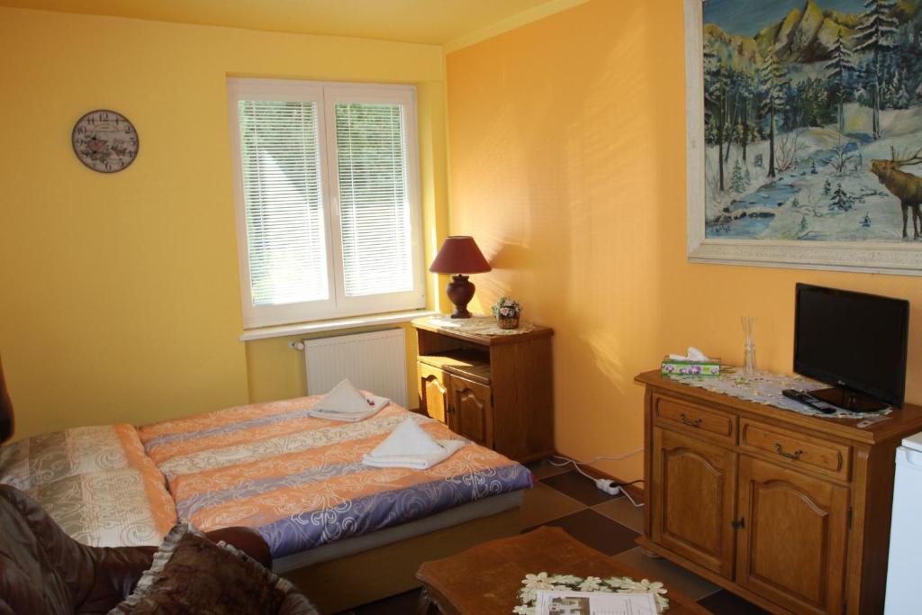 Двухместный (Двухместный номер с 2 отдельными кроватями) гостевого дома Villa Anastazis - Penzion Eden, Карловы Вары
