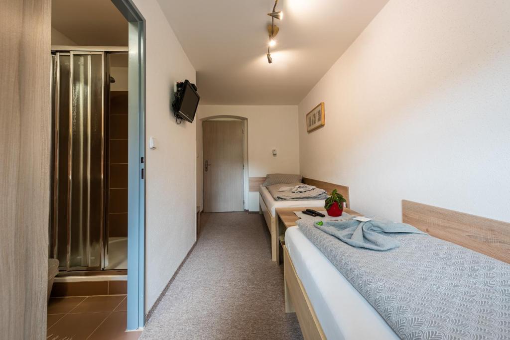 Двухместный (Двухместный номер с 2 отдельными кроватями и собственной ванной комнатой) гостевого дома Penzion 103, Железна-Руда