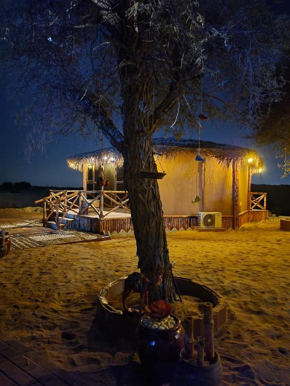 Сьюит (Представительский люкс), Кемпинг The Dunes Camping & Safari RAK