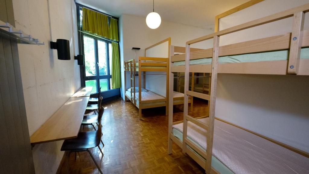 Номер (Кровать в общем женском номере на 20 человек) хостела Luzern Youth Hostel, Люцерн