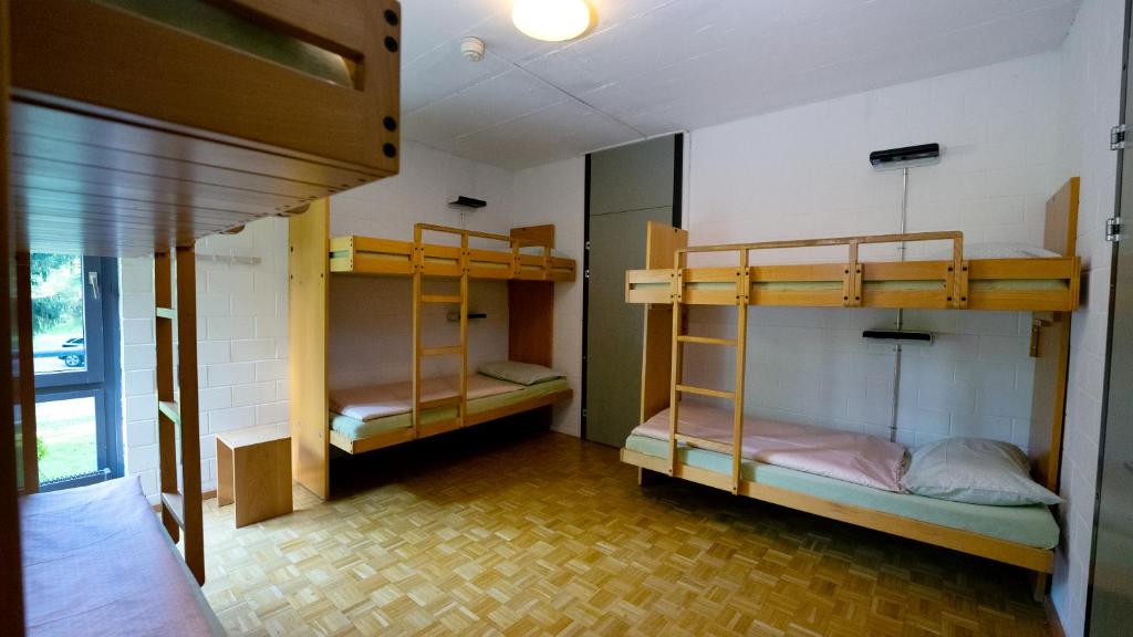 Номер (Кровать в общем 6-местном номере) хостела Luzern Youth Hostel, Люцерн