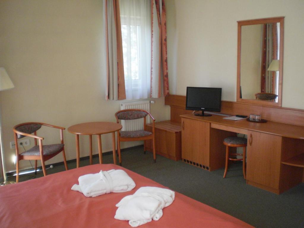 Двухместный (Двухместный номер с 1 кроватью или 2 отдельными кроватями) отеля Aqua Hotel Termál, Мошонмадьяровар
