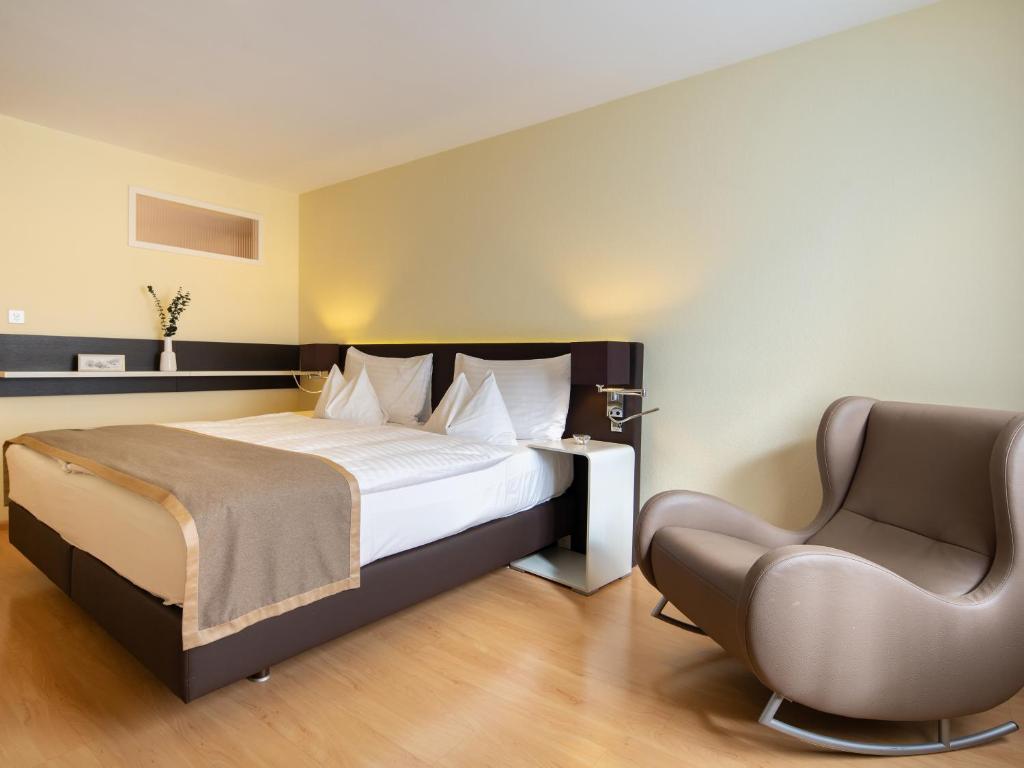 Двухместный (Стандартный двухместный номер с 1 кроватью или 2 отдельными кроватями) отеля Hotel Spalentor, Базель