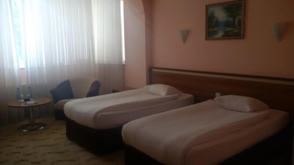 Двухместный (Стандартный двухместный номер с 1 кроватью или 2 отдельными кроватями) отеля River Side, Мингечевир