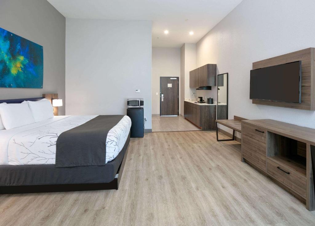 Двухместный (Номер Делюкс для некурящих с 1 кроватью размера 