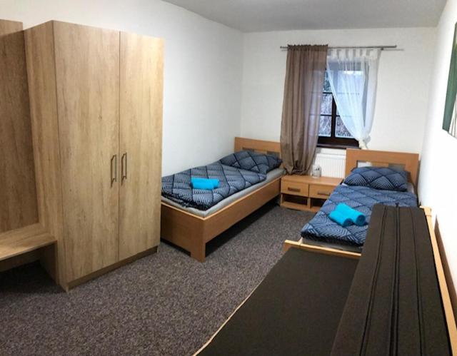Двухместный (Двухместный номер с 1 кроватью или 2 отдельными кроватями и собственной ванной комнатой) гостевого дома Park Penzion, Брунталь