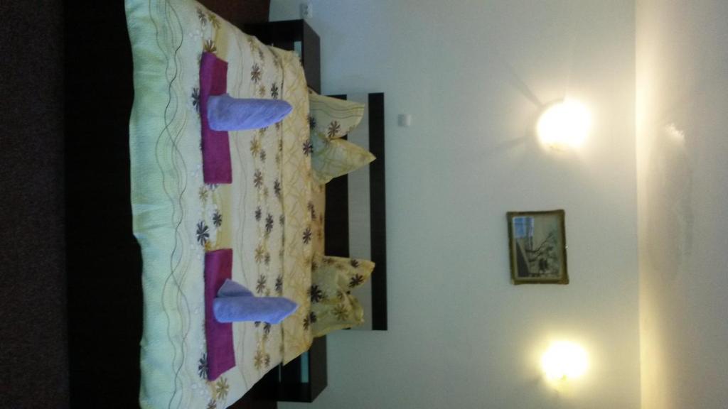 Двухместный (Двухместный номер с 1 кроватью или 2 отдельными кроватями) гостевого дома Casa Frasin, Буштень