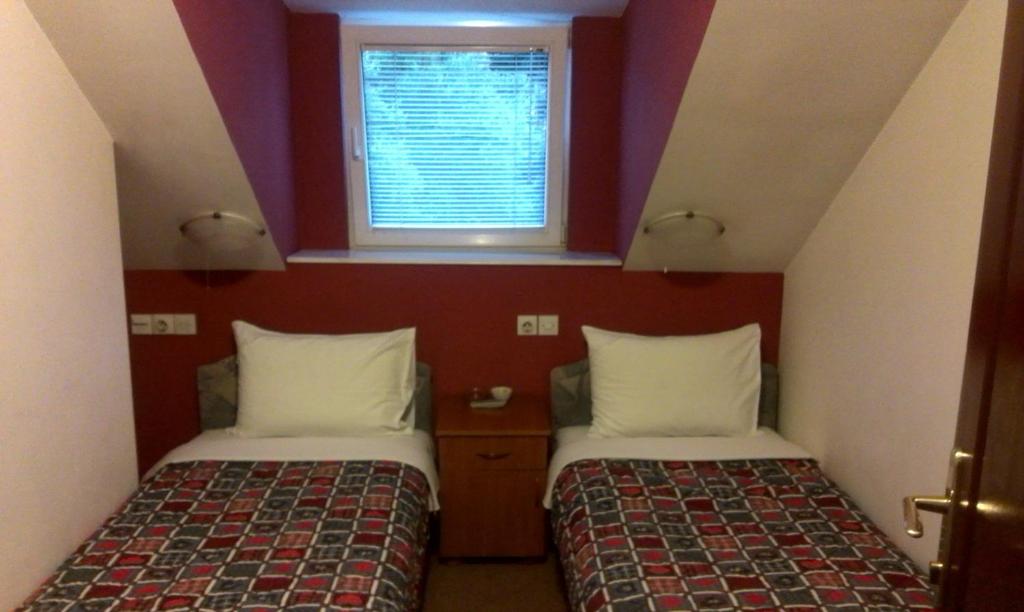 Двухместный (Двухместный номер с 2 отдельными кроватями) гостевого дома Private accommodation Lidija Rakočević, Колашин