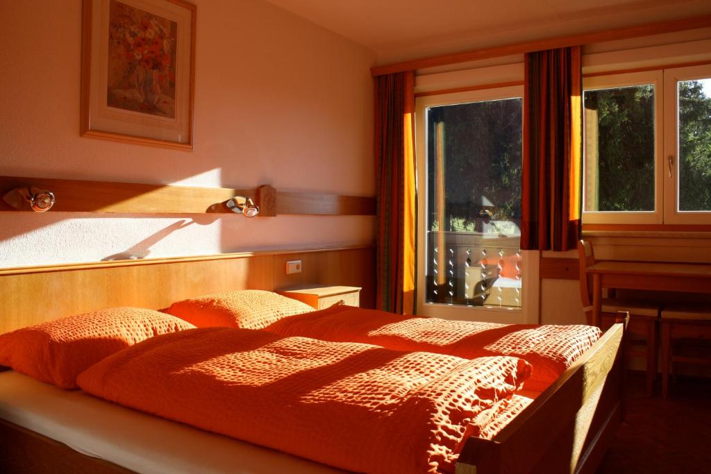Двухместный (Двухместный номер с 2 отдельными кроватями и балконом) отеля Pension Haus Maria, Шладминг