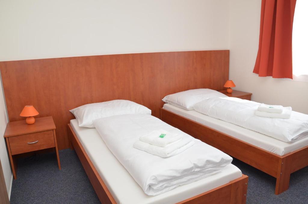 Двухместный (Двухместный номер с 1 кроватью или 2 отдельными кроватями) отеля Růženy, Густопече