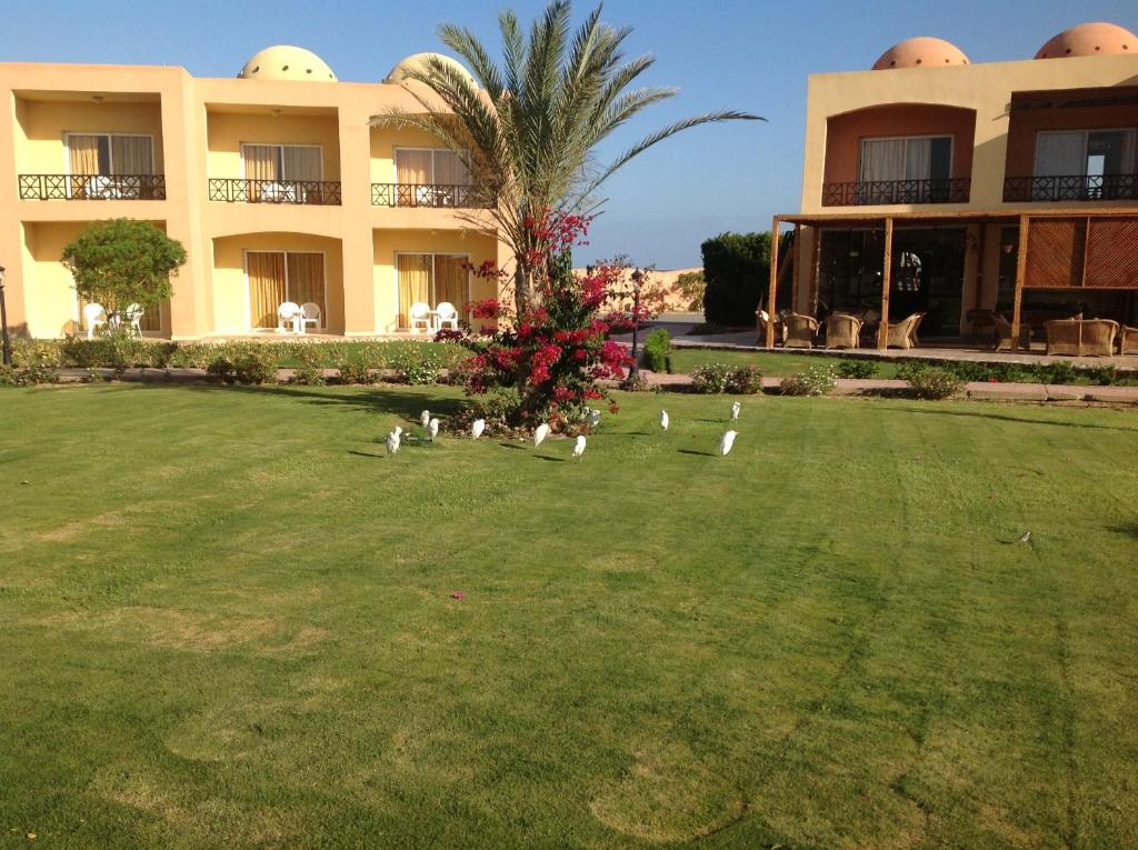 Двухместный (Стандартный двухместный номер с 1 кроватью или 2 отдельными кроватями и видом на сад) курортного отеля Wadi Lahmy Azur Resort, Марса-эль-Алам