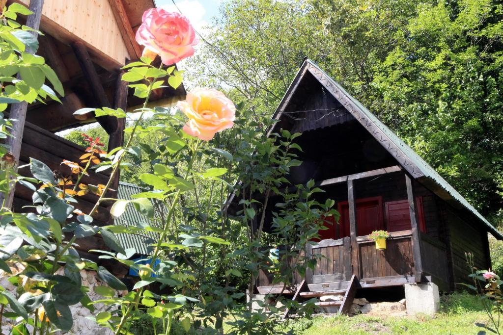 Номер (Бунгало с видом на сад) гостевого дома Pensiunea Dacica, Хунеадора