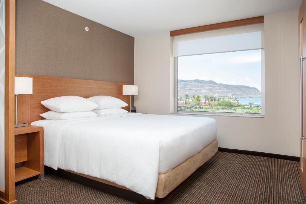 Четырехместный (Номер с кроватью размера «king-size» и видом на океан) отеля Hyatt Place La Paz, Ла-Пас