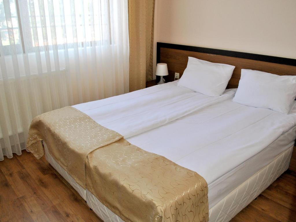 Двухместный (Двухместный номер с 1 кроватью или 2 отдельными кроватями) отеля Spa Hotel Ivelia, Дыбница