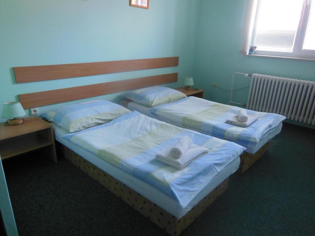 Двухместный (Двухместный номер с 1 кроватью или 2 отдельными кроватями) гостевого дома Penzion Premona, Нитра