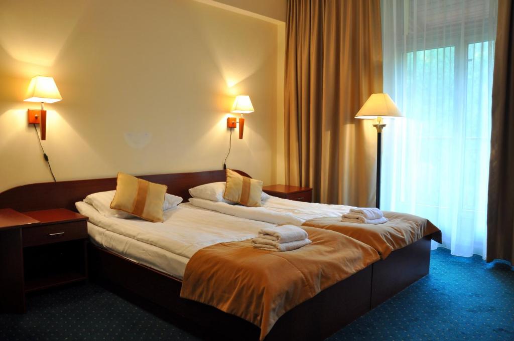 Двухместный (Двухместный номер с 1 кроватью или 2 отдельными кроватями) отеля Hotel Mir-Jan SPA, Лёндек-Здруй