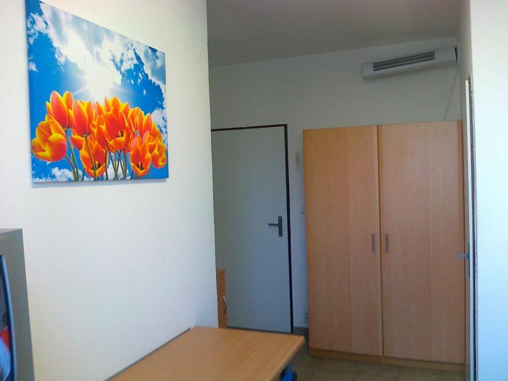 Одноместный (Одноместный номер с собственной ванной комнатой), Terrace Room Rental