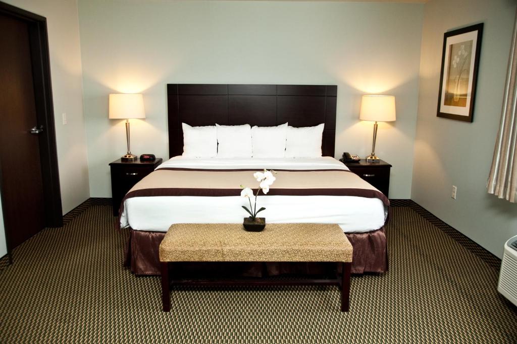 Сьюит (Суперлюкс с кроватью размера «king-size» и диваном-кроватью — Подходит для гостей с ограниченными физическими возможностями — Для некурящих) отеля Baymont by Wyndham Rapid City, Рапид-Сити