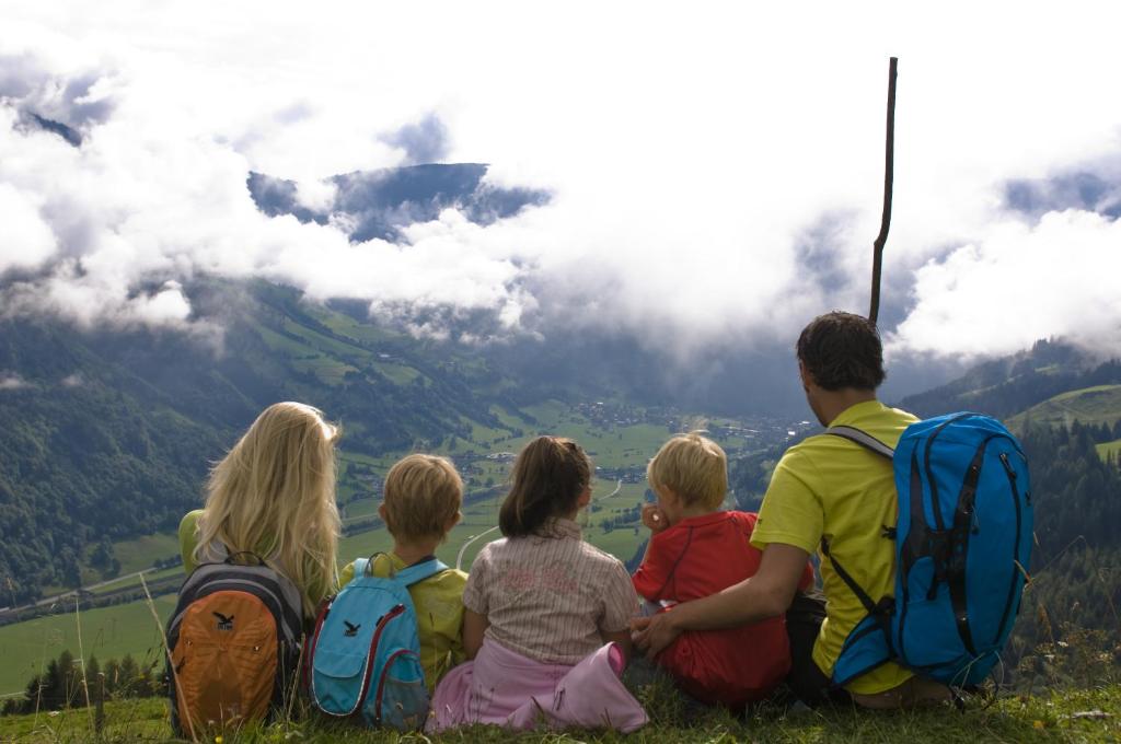 Студио (Studio - free access to Alpentherme), Appartementhaus Gastein