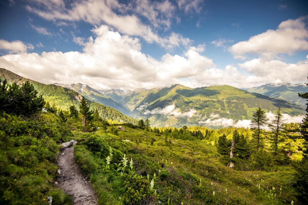 Студио (Studio - free access to Alpentherme), Appartementhaus Gastein