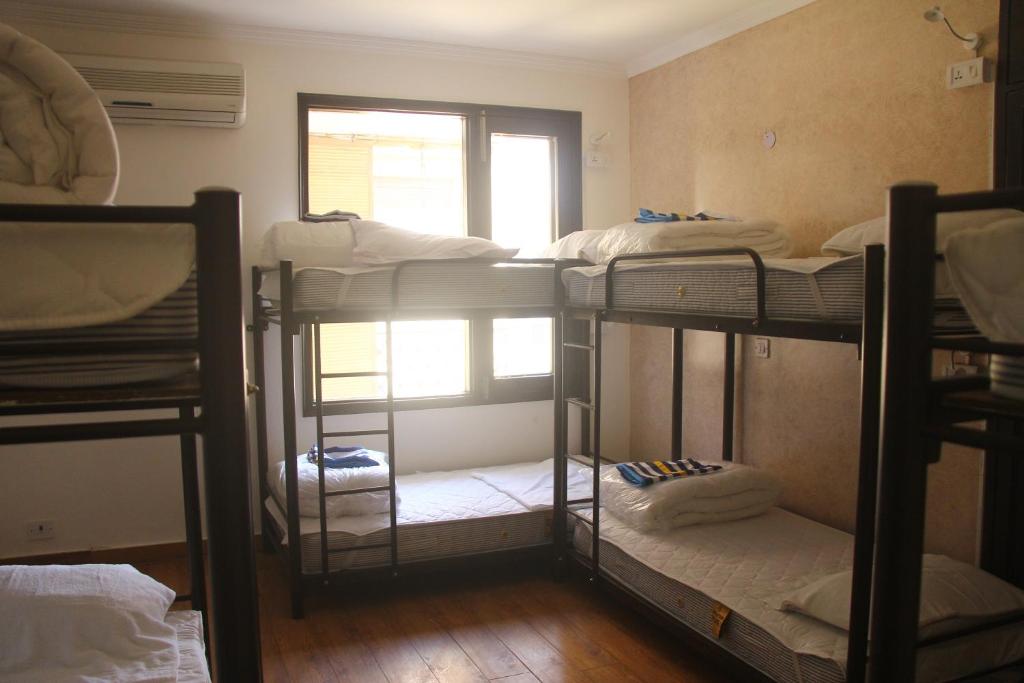 Номер (Кровать в общем 8-местном номере для мужчин и женщин), The Madpackers Hostel