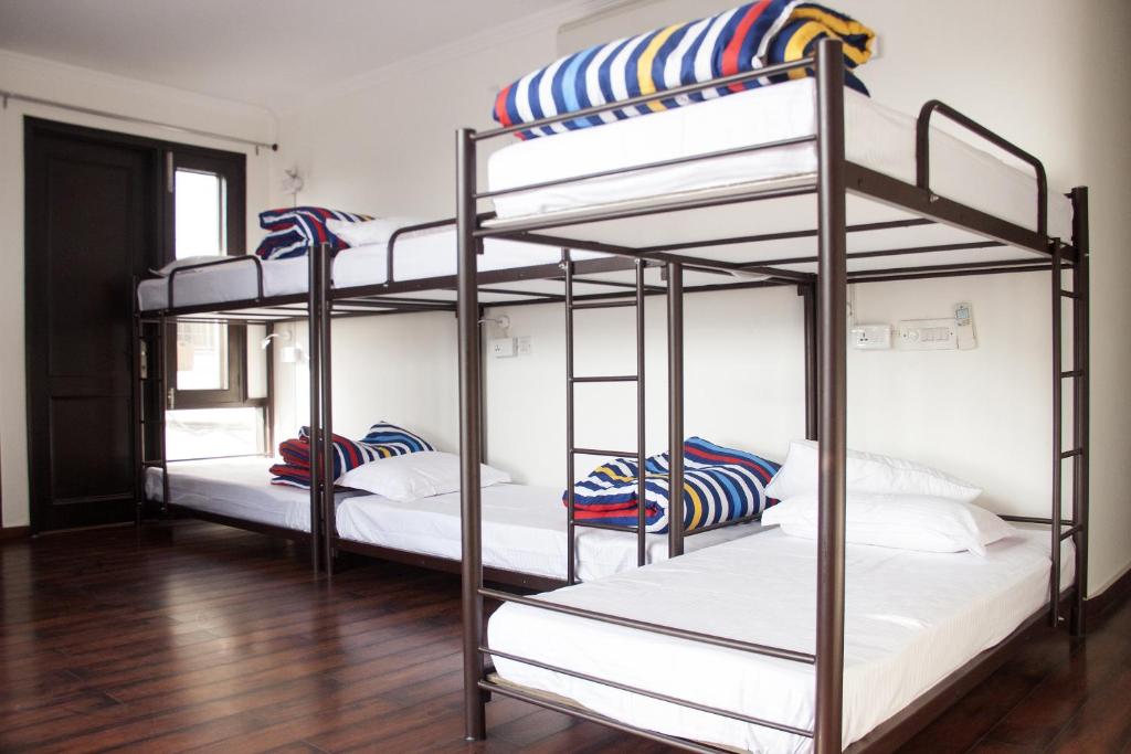 Номер (Улучшенный общий номер для мужчин и женщин с 8 кроватями) хостела The Madpackers Hostel, Нью-Дели