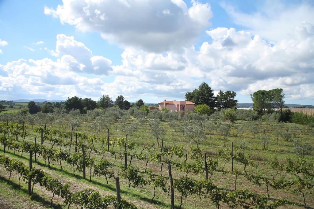 Вилла (Вилла с 4 спальнями - Отдельное здание), Agriturismo Il Marrugio