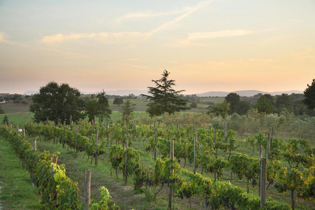 Вилла (Вилла с 4 спальнями - Отдельное здание), Agriturismo Il Marrugio