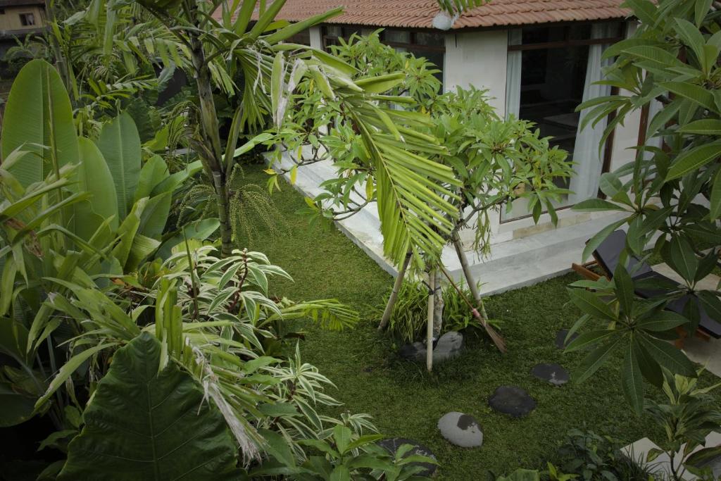 Dugul Ubud